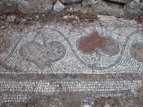 Phaselis11