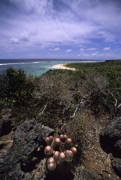 Antigua&Barbuda034