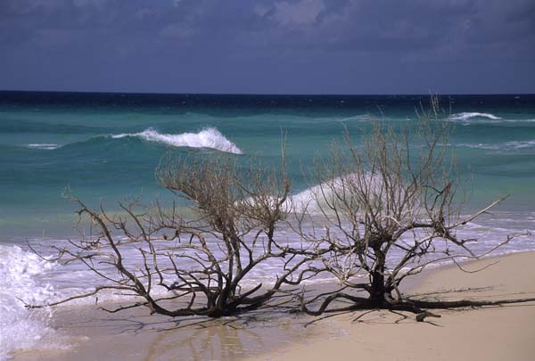 Antigua&Barbuda064