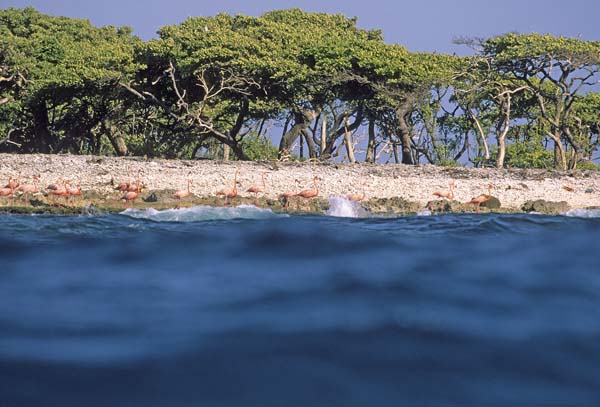 LosRoques024