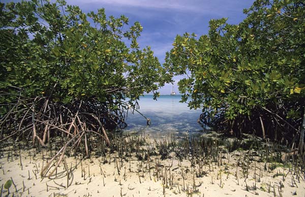 LosRoques038