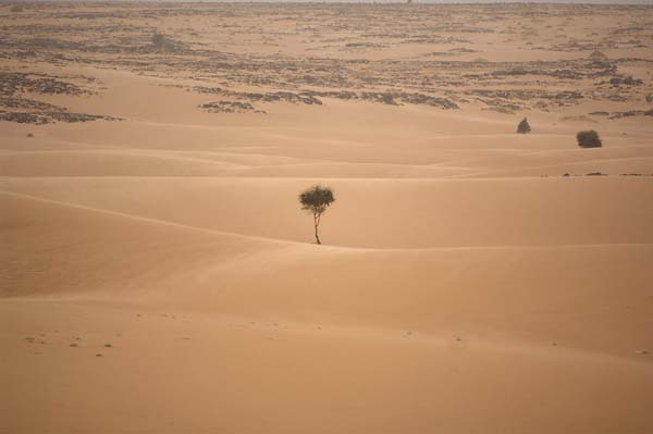 Aoujeft_Mauritania01