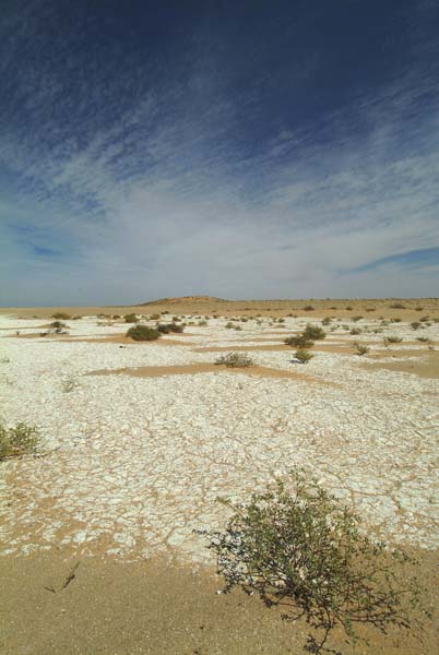 Bancd'ArguinMauritania003