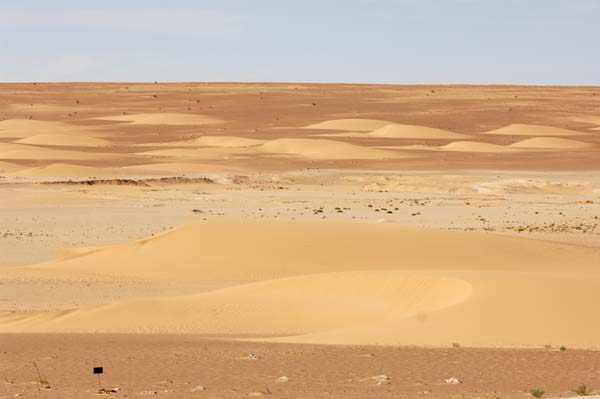 Bancd'ArguinMauritania015