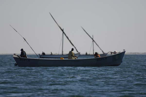 Bancd'ArguinMauritania078