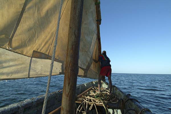 Bancd'ArguinMauritania081