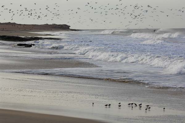 CapBlancMauritania09