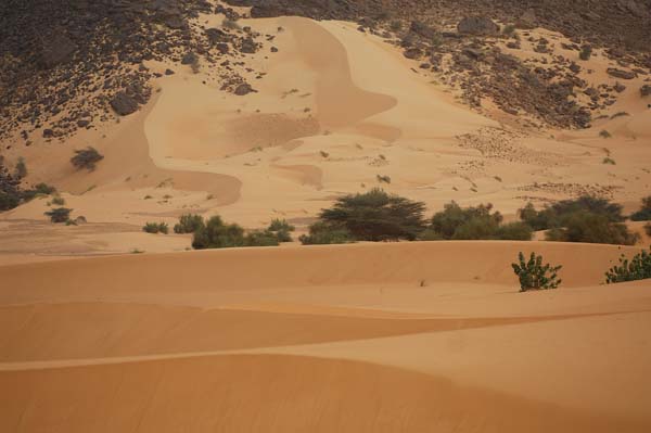 IbiElAbiod_Mauritania02