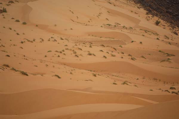 IbiElAbiod_Mauritania03