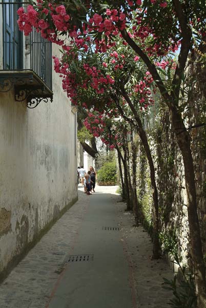 Anacapri06