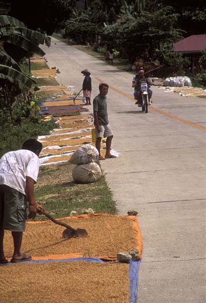 Bohol06